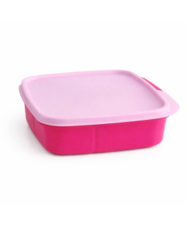 Ланчбокс Tupperware 550 мл «Школяр» з розділювачами