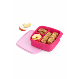 Ланчбокс Tupperware 550 мл «Школяр» з розділювачами