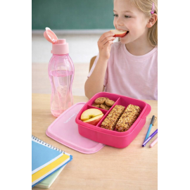 Ланчбокс Tupperware 550 мл «Школяр» з розділювачами