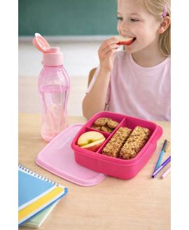 Ланчбокс Tupperware 550 мл «Школяр» з розділювачами