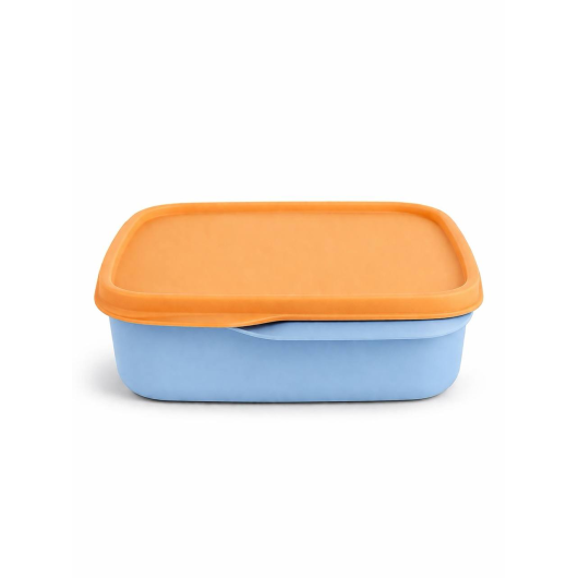 Ланчбокс Tupperware 550 мл «Школяр» з розділювачами