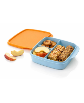 Ланчбокс Tupperware 550 мл «Школяр» з розділювачами