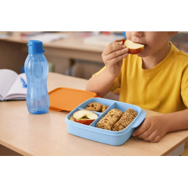 Ланчбокс Tupperware 550 мл «Школяр» з розділювачами