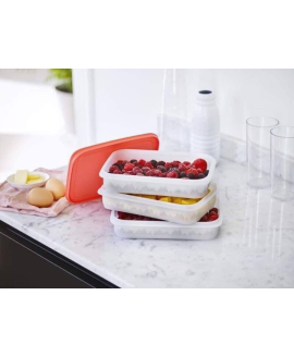 Cкладний охолоджуючий лоток Tupperware 3×675 мл 