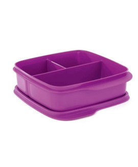 Ланчбокс Tupperware 550 мл «Школяр» з розділювачами
