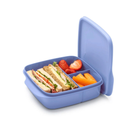 Ланчбокс Tupperware 550 мл «Школяр» з розділювачами