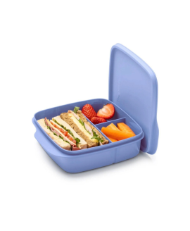 Ланчбокс Tupperware 550 мл «Школяр» з розділювачами