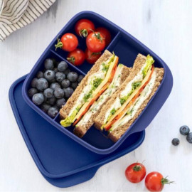Ланчбокс Tupperware 550 мл «Школяр» з розділювачами