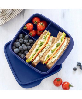 Ланчбокс Tupperware 550 мл «Школяр» з розділювачами